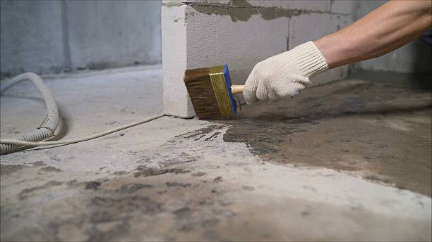 SJ Waterproofing Pros Sump Pump Installation coverage map for Freeport, MI and surrounding area
